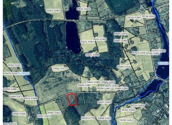 Vidusruikas, Mālpils by labamaja