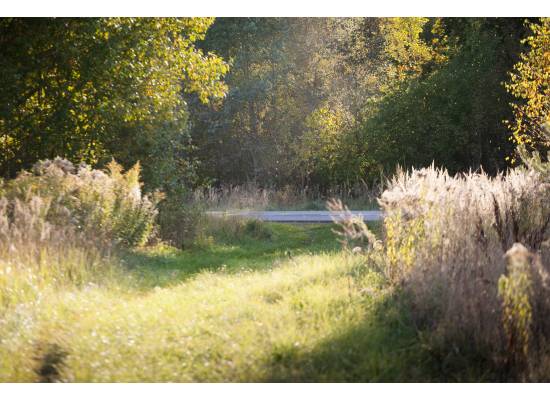 Uguntiņas, Ķekava by labamaja