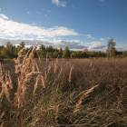 Uguntiņas, Ķekava by labamaja