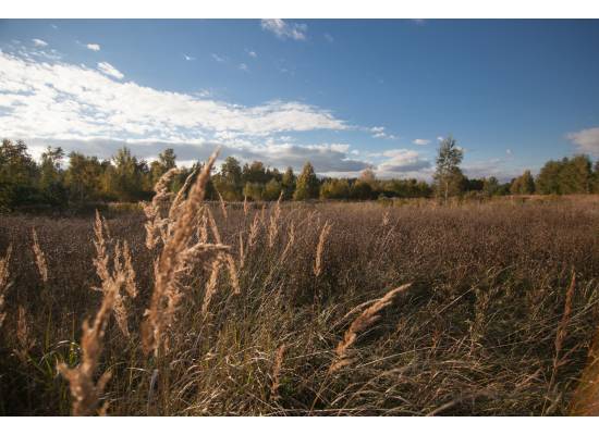 Uguntiņas, Ķekava by labamaja