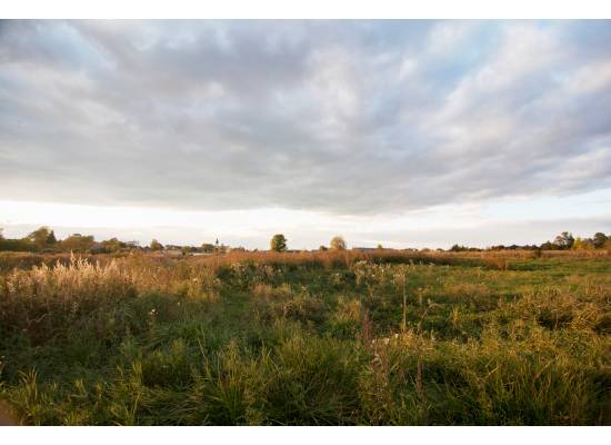 Dangas, Ķekava by labamaja