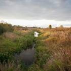 Dangas, Ķekava by labamaja