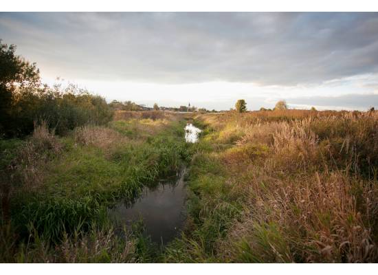 Dangas, Ķekava by labamaja