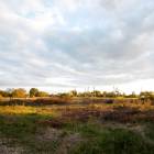 Dangas, Ķekava by labamaja