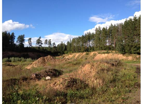 Skaistkalni, Baldone by labamaja