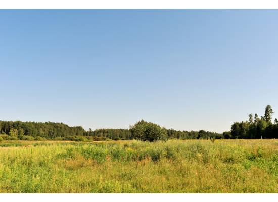 Ērgļu muiža by labamaja