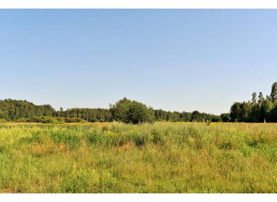 Ērgļu muiža by labamaja