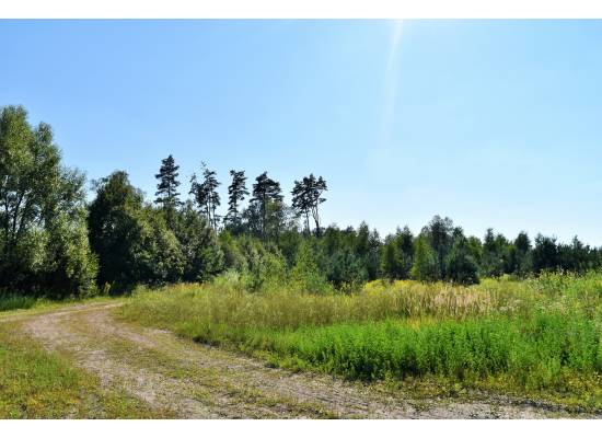 Ērgļu muiža by labamaja