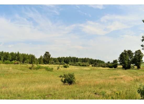 Šķilteri, Salaspils by labamaja