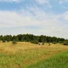 Šķilteri, Salaspils by labamaja