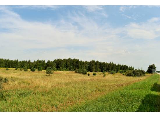 Šķilteri, Salaspils by labamaja