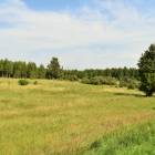 Šķilteri, Salaspils by labamaja