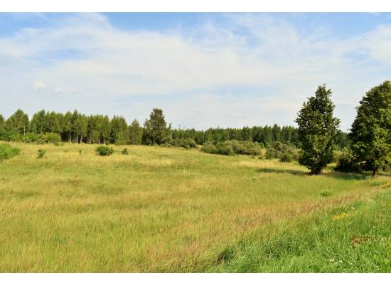 Šķilteri, Salaspils by labamaja