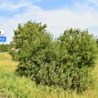 Šķilteri, Salaspils by labamaja