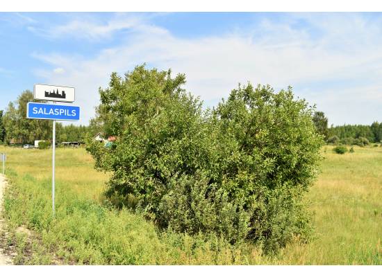 Šķilteri, Salaspils by labamaja