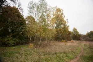 Ārstniecības Iela, Baldone 0,95 ha