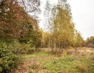 Ārstniecības iela, Baldone 1258 m2