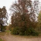 Ārstniecības iela, Baldone by labamaja